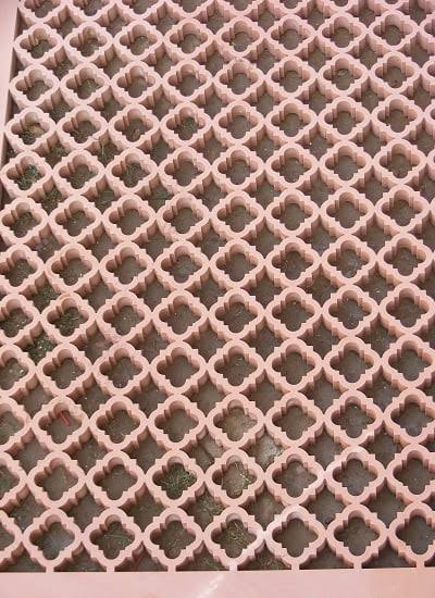 Stone Jali - 2